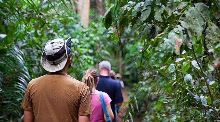 Ngezi Forest Hike